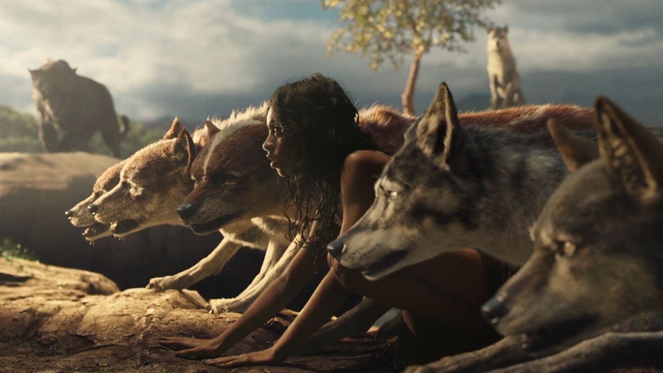 全中国数千万人打麻将，为何只有何鸿燊成了赌王？