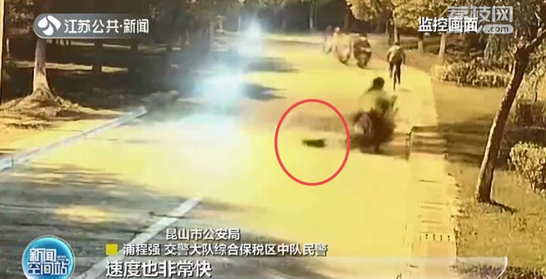女子报警有人称交通肇事逃逸？民警：“元凶”是窜出来的野猫