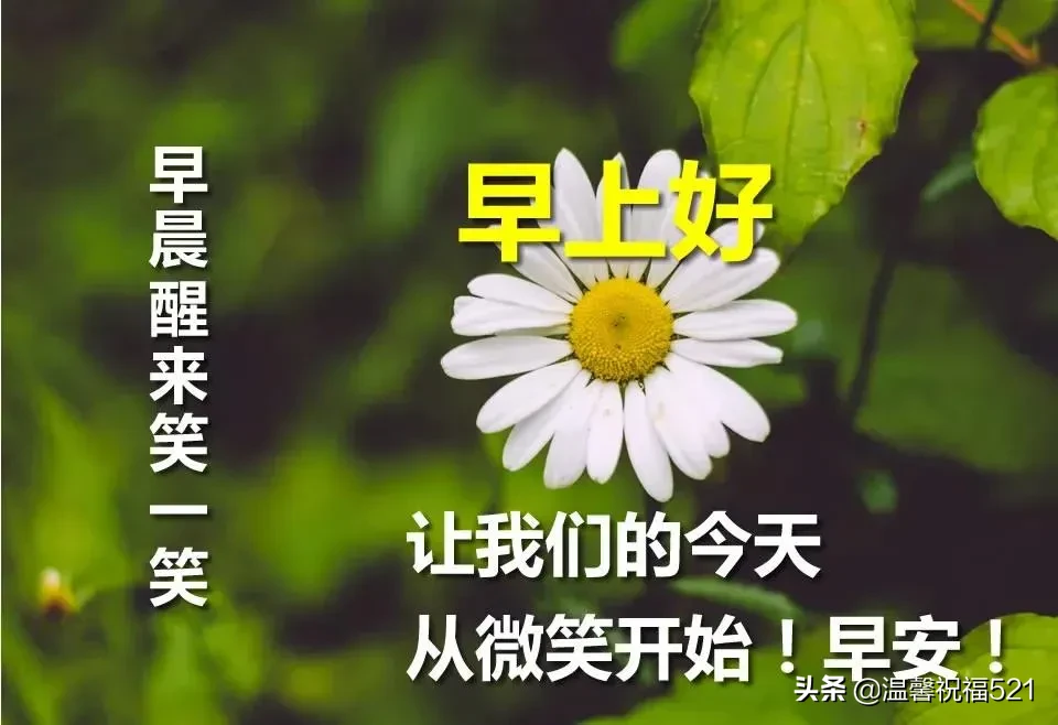 微商早安图片2021新图片 早上好唯美暖心问候语 图片