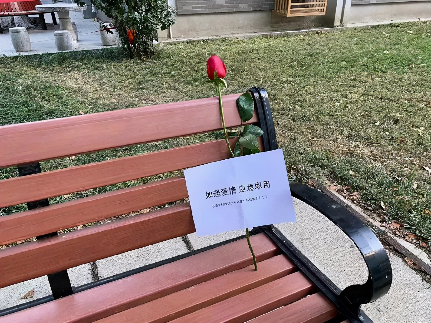 Atlas | Eider down takes the advantage that buys big drop, be clear at a glance with a ha is breathed out