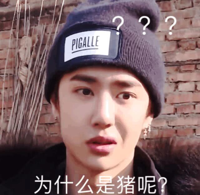脑洞大开！芒果《一起养猪吧》来袭，王一博张云龙榜上有名