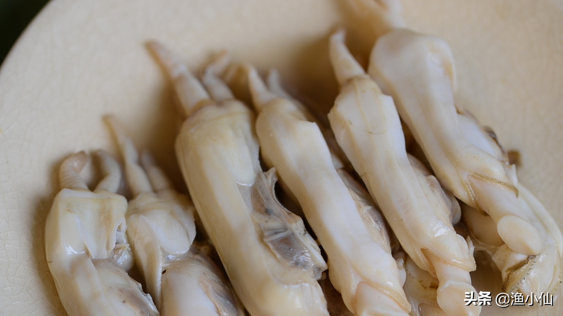 蛏子是雌雄异体,它体内都有一条类似线虫的东西,是不是寄生虫呢