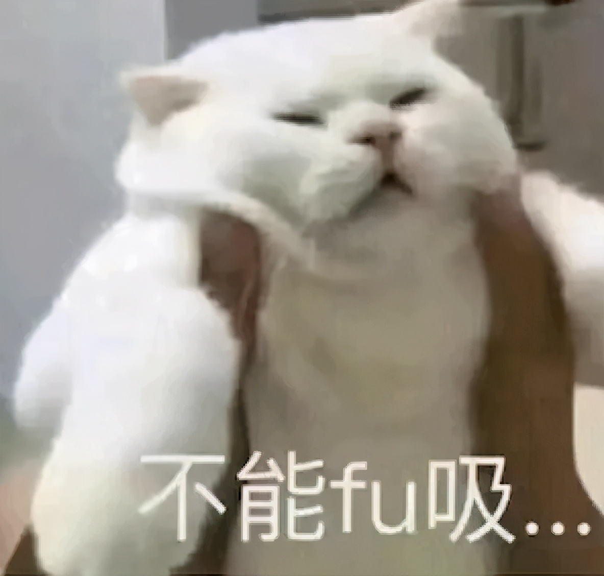 日 本 奇 葩 泡 面 大 赏