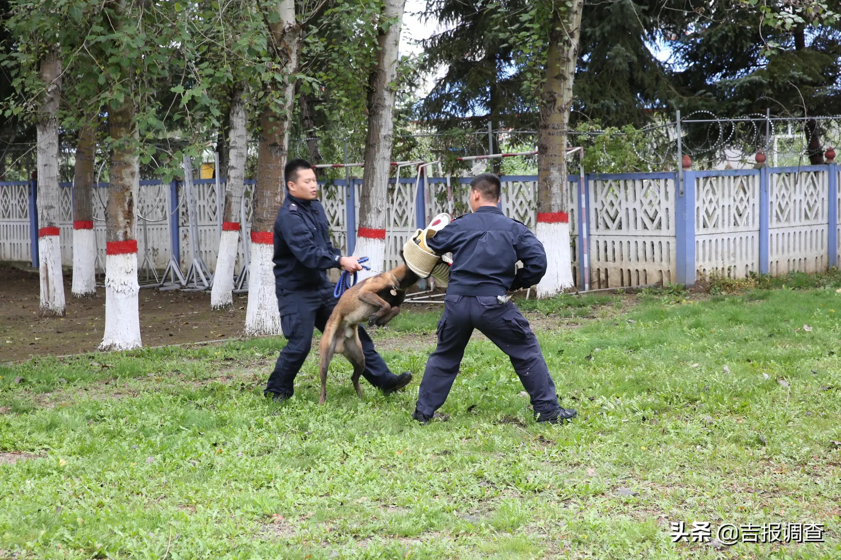 琿春市第五中學(xué)七年一班師生在馬川子(圖3)