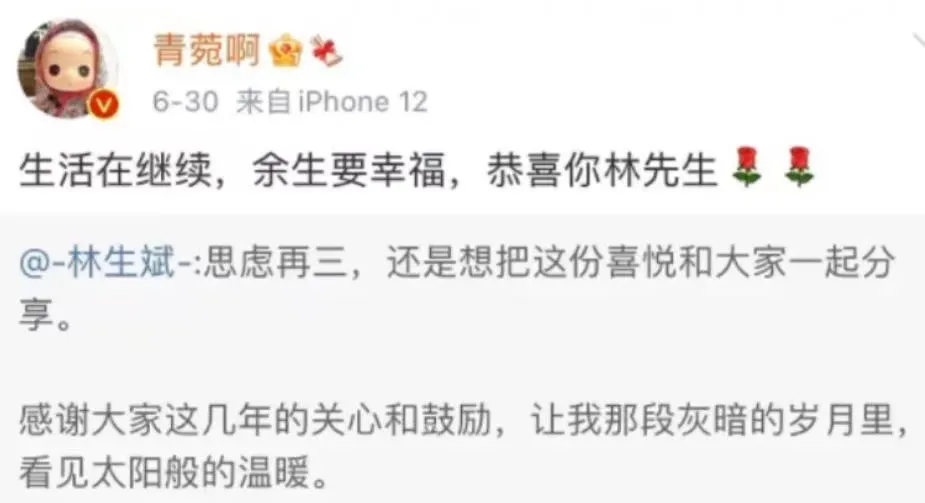 林生斌的朋友圈、微博文案全是代写?代运营身份被扒,借亡妻捞金