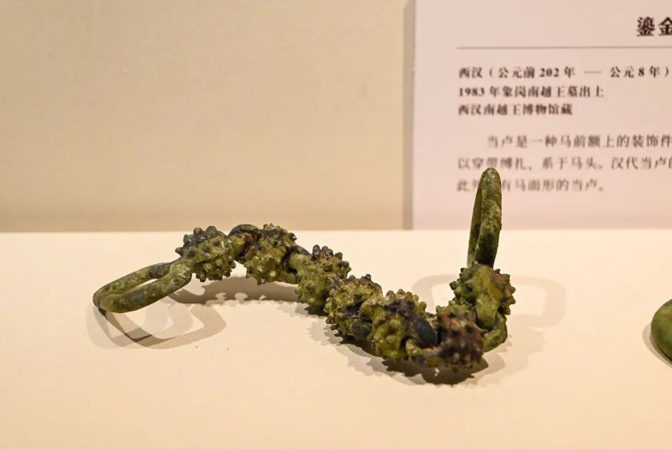 每個來北京的人都應(yīng)該逛的重磅博物館，猜猜是哪？免費(fèi)