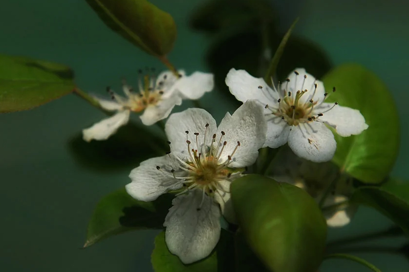 上海一“巨无霸”公园火了，占地1.3万平方米，