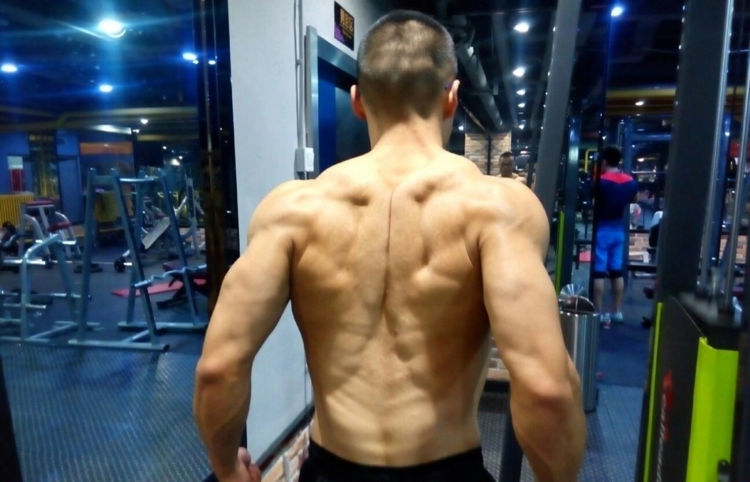 Before you develop a Christmas tree-like back muscle shape, you must ...
