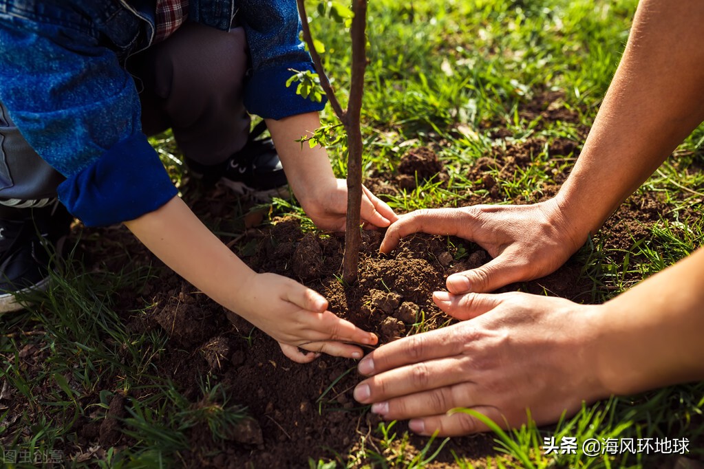 地球變綠中印成最大功臣，但專家對印度非常擔憂