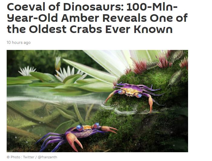 Tiny crab preserved in 100-million-year-old amber lived among dinosaurs
