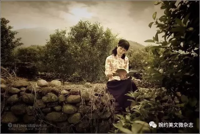 永不老去是乡愁