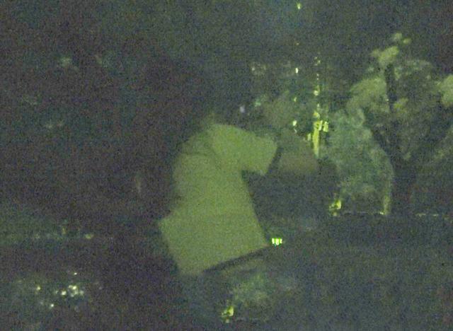彭昱畅恋情曝光？女友疑是经纪人TUTU，两人深夜约会好亲昵
