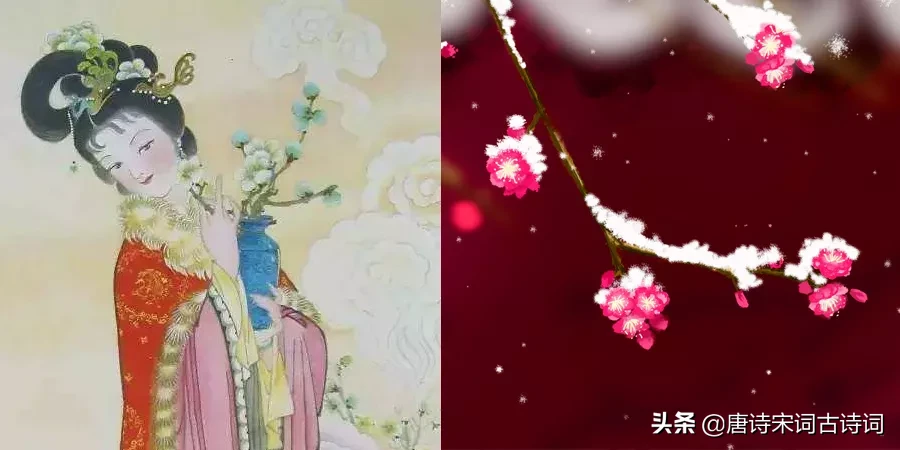 那些花儿，那些女神