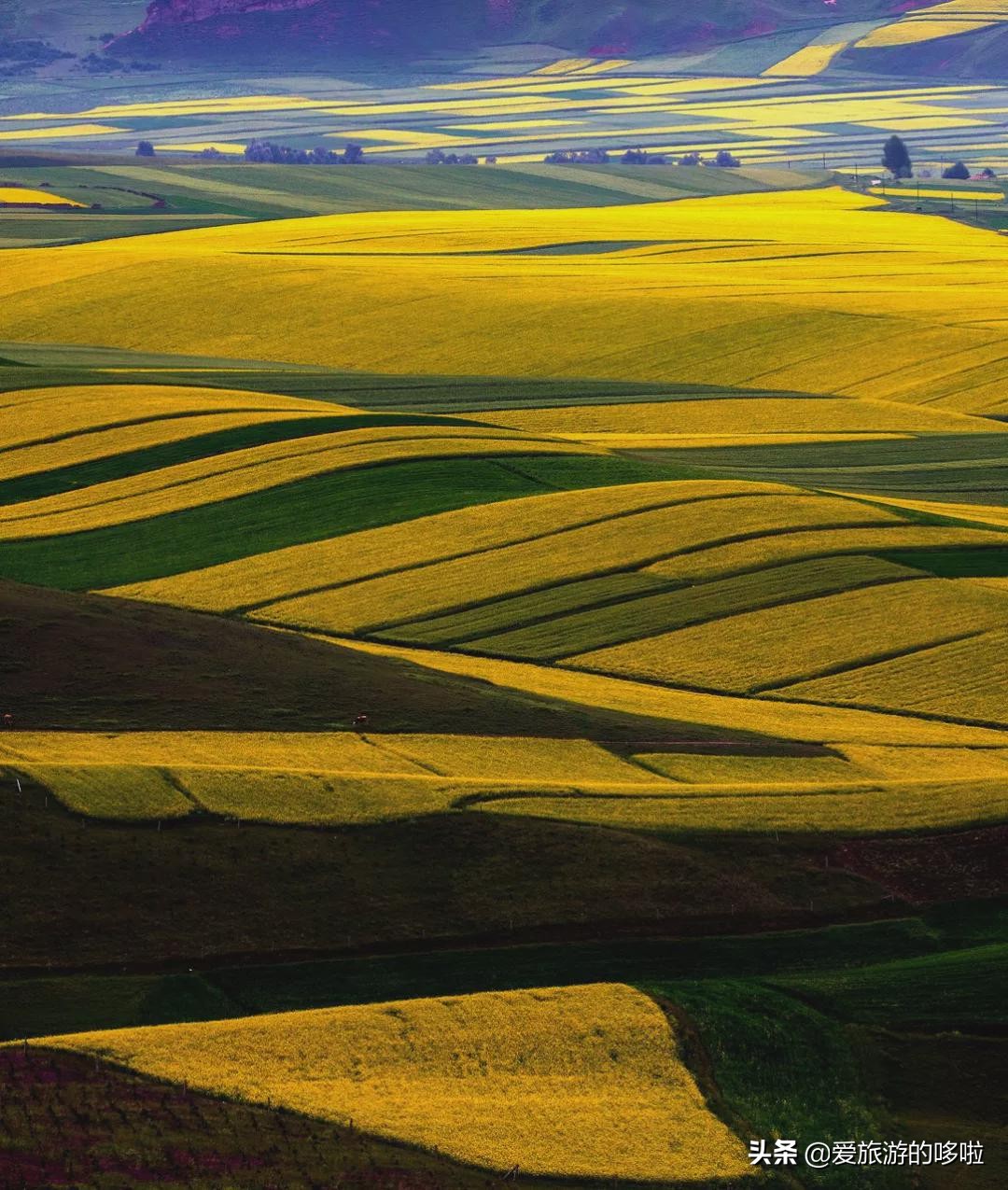 青海值得旅游的地方 青海湖最佳旅游月份(圖38)