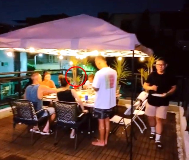 霍建华心如带女儿聚会，陈建州在现场拍余文乐意外曝光小海豚正面