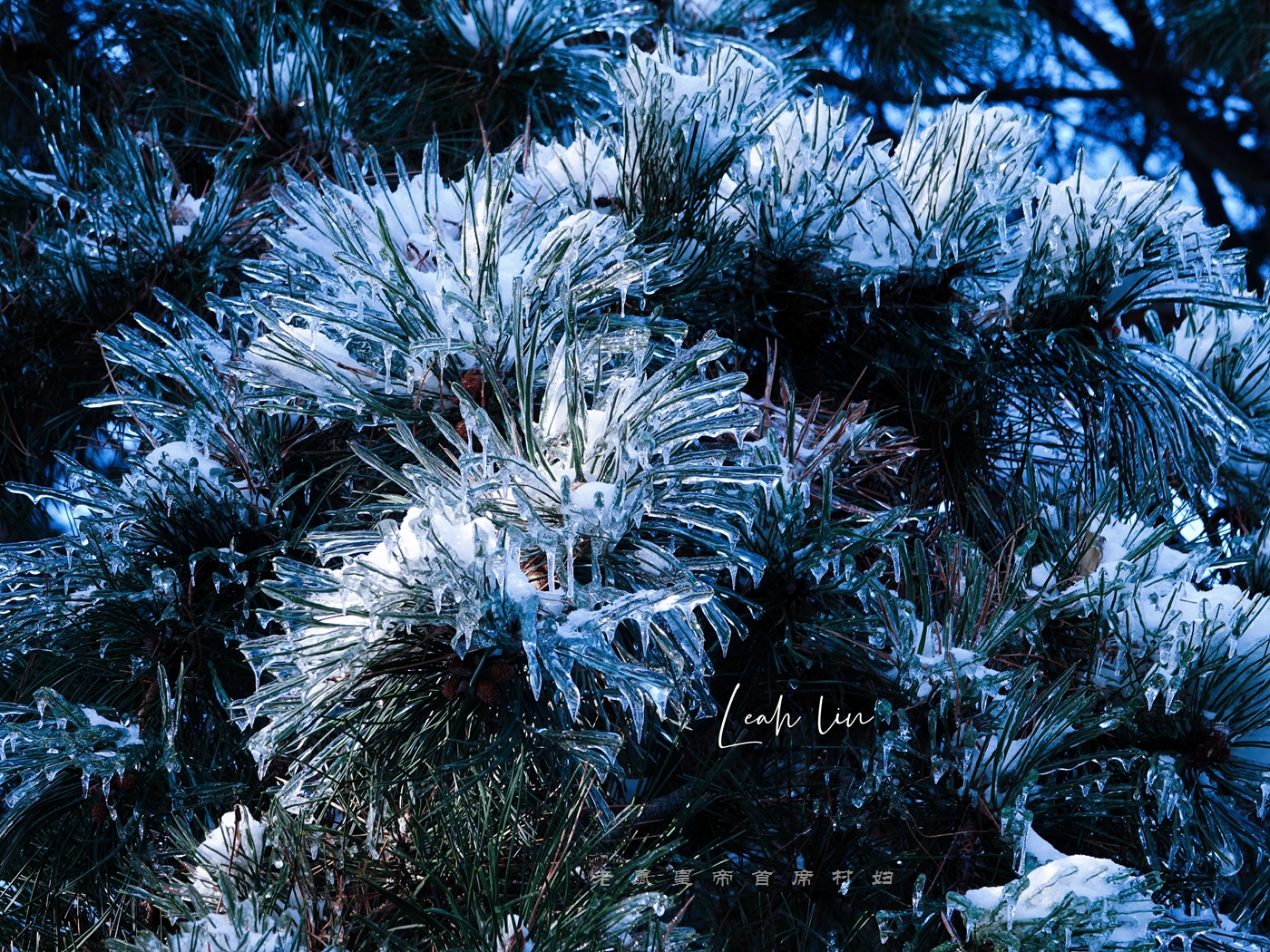 长春惊现百年不遇冰挂，冰雪奇缘太惊艳，连本地中年人都说没见过