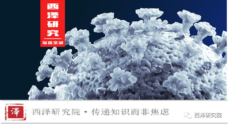 大疫情下的全球银行业：宽松政策能否拯救流动