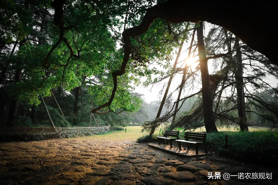 医养结合的模式有哪些？