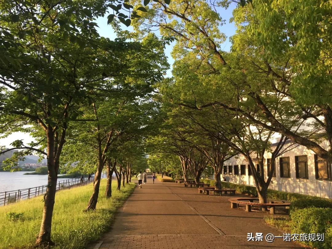 森林養(yǎng)生旅游規(guī)劃設(shè)計(jì)有什么要點(diǎn)？