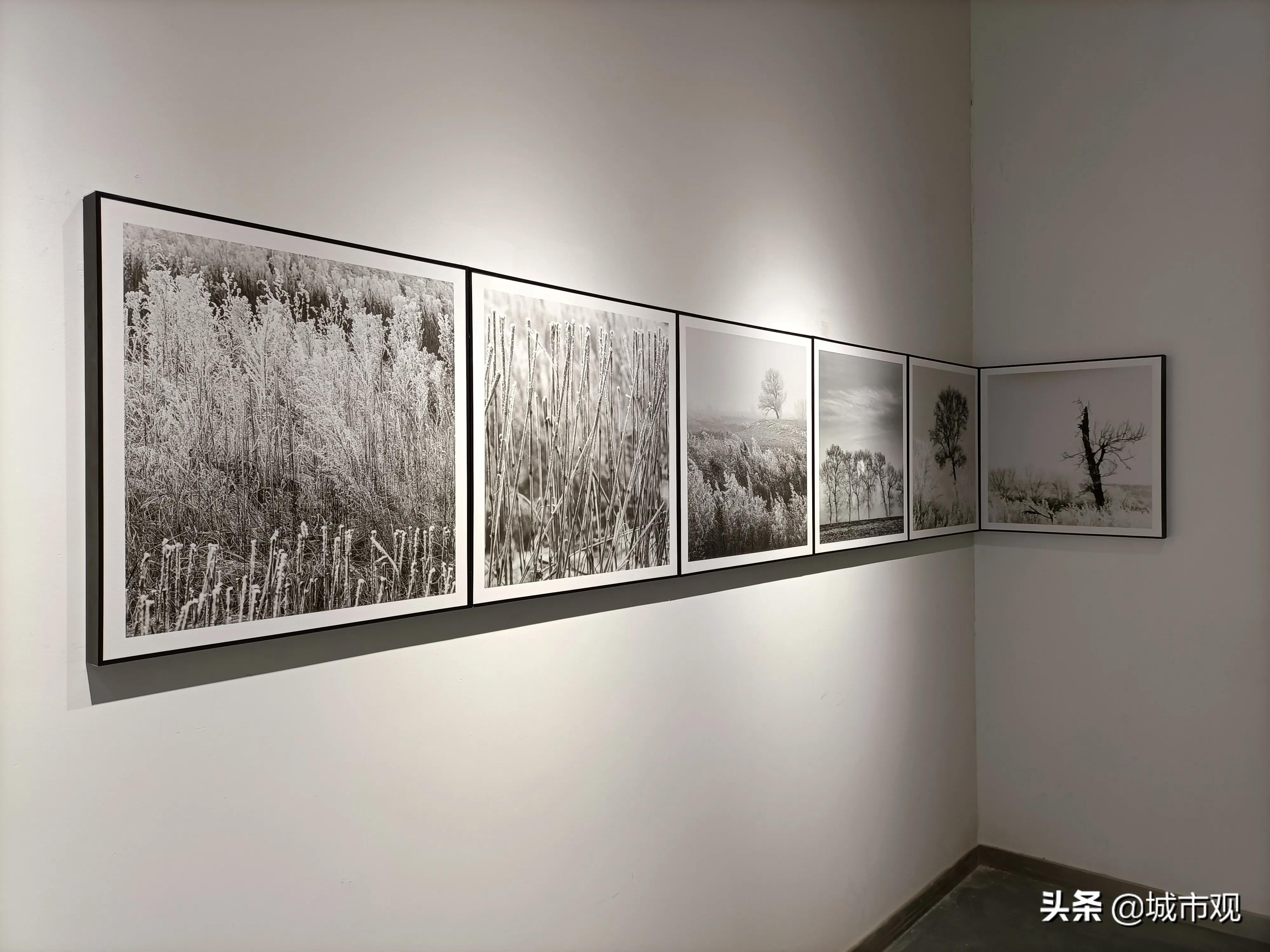 大展黔图《一轮·素念禅心》黄驿伦摄影作品在贵州师大美术馆展出