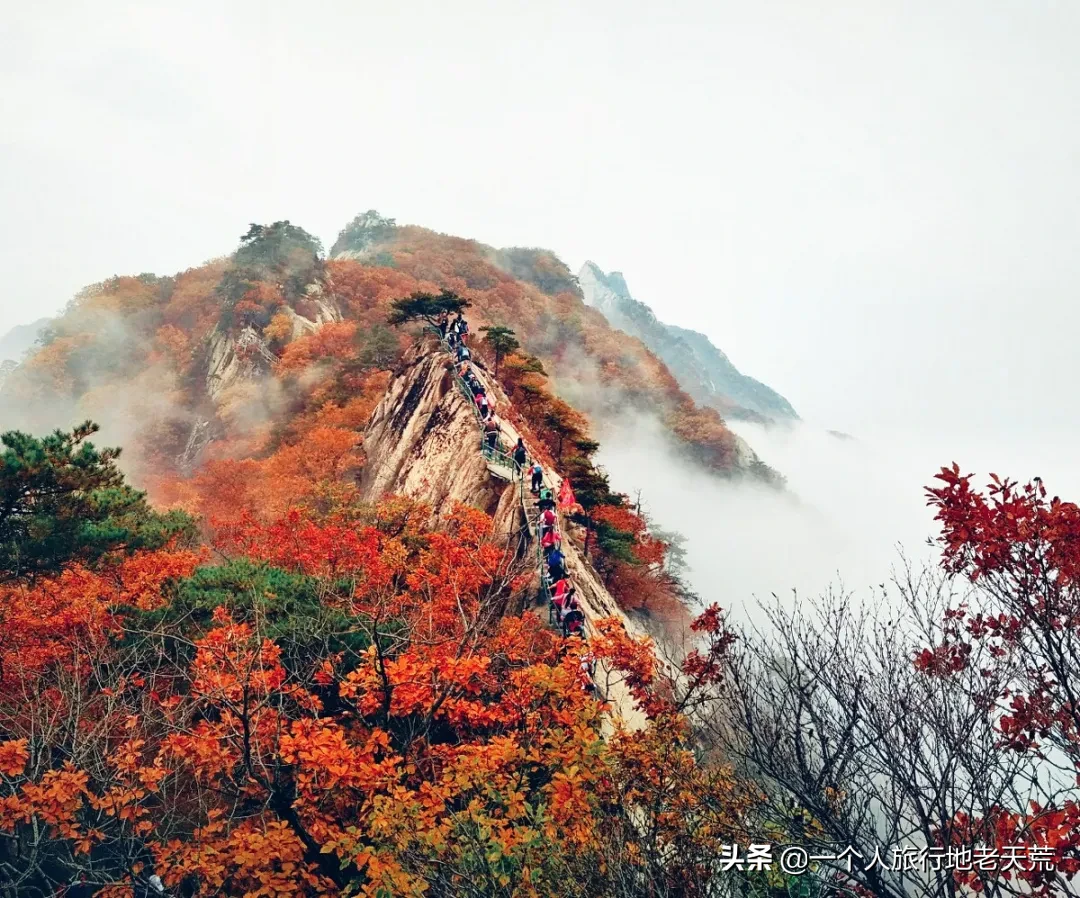 中国最大最美的边境城市，10月将迎来颜值巅峰