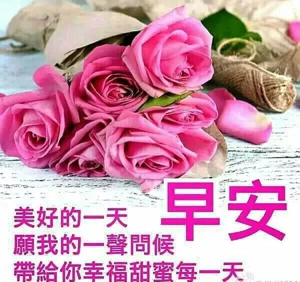 清晨早安阳光的正能量问候语，最美早安问候祝福语图片带字温馨图片