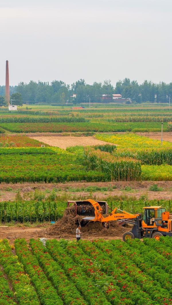 河南省农业农村厅：总投资182亿支持灾后农业重建