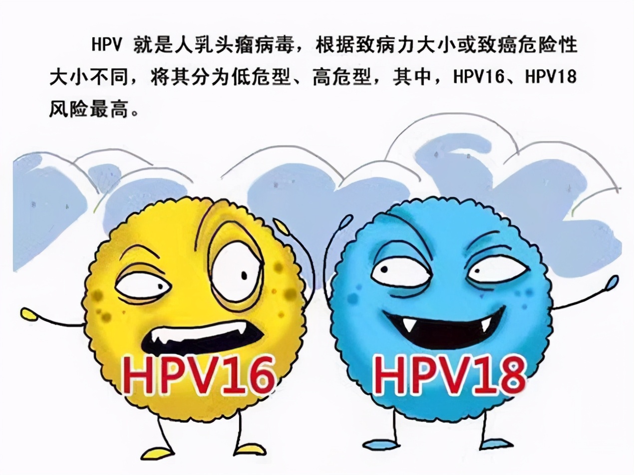 hpv16阳性是什么意思