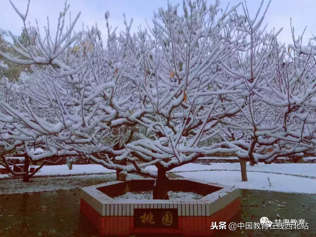 甘肃初雪|甘肃18所高校初学雪景大PK,快来看看有你的母校没?