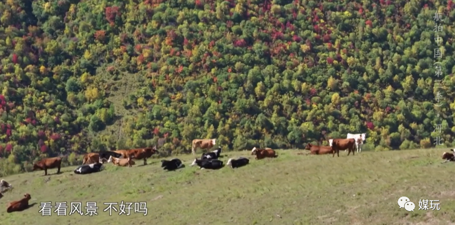 彩蛋不断！这一季《航拍中国》是怎样靠“翻车