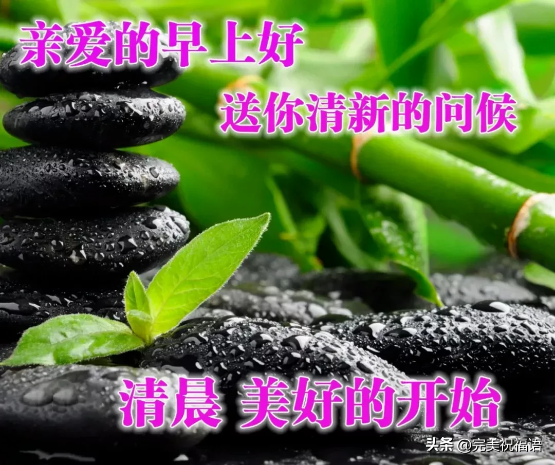 早上好唯美暖心问候语 早安祝福语漂亮图片图片