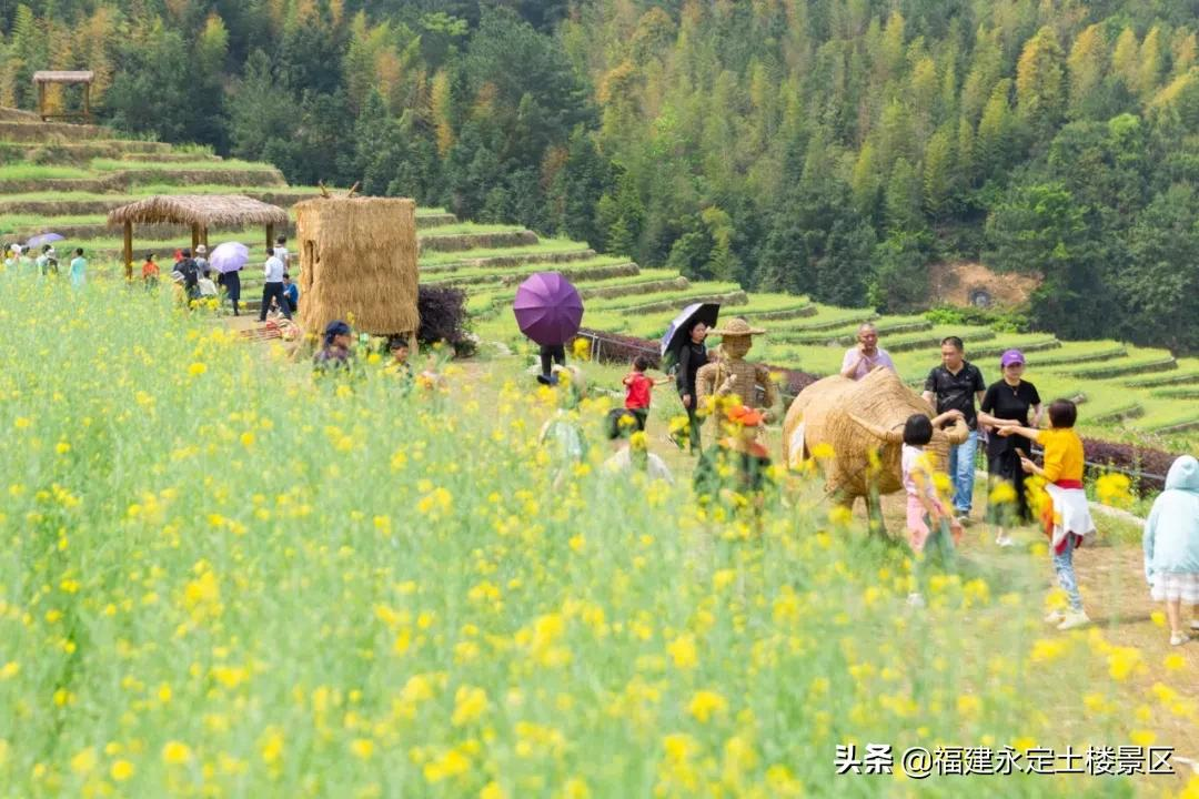 阳春三月 · 永定初溪土楼赴一场春之约