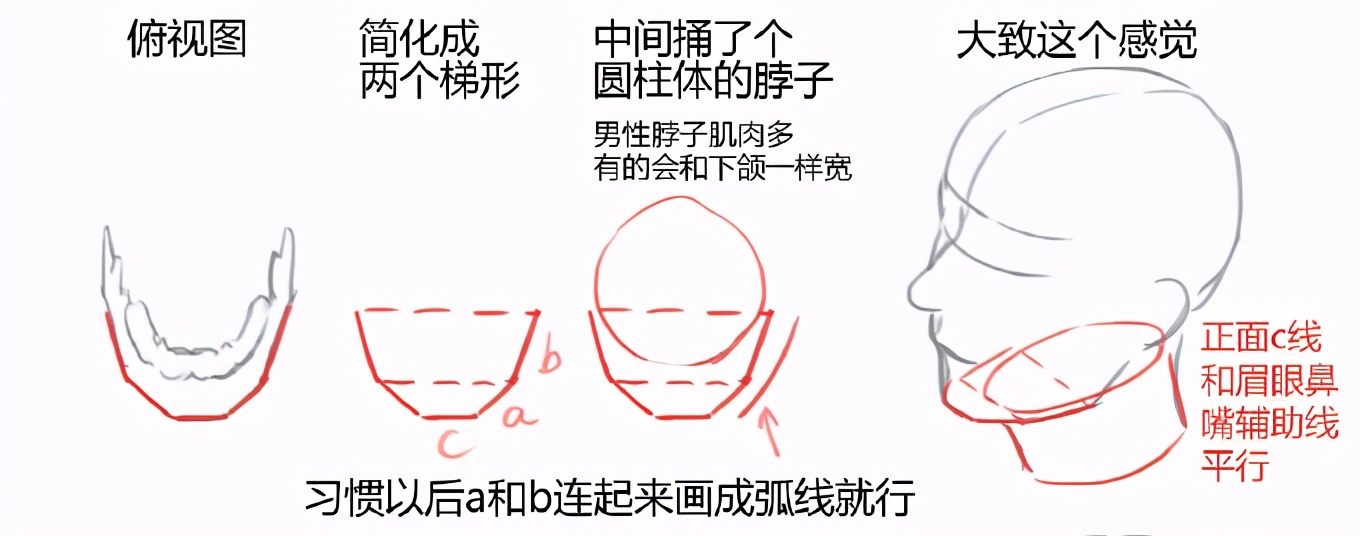 仰视角度的下巴和脖子怎么画？教你绘制人物下巴和脖子的关系体现