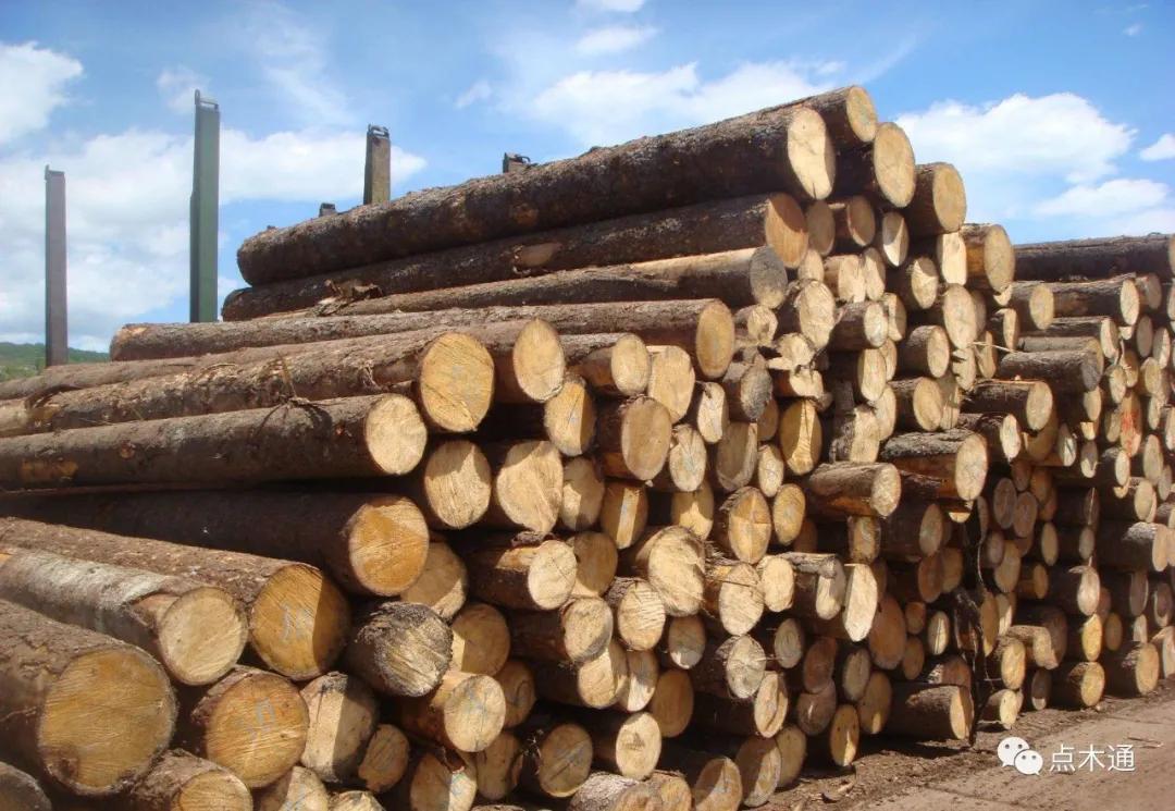 重庆木材市场订单爆满，一片盛世繁荣