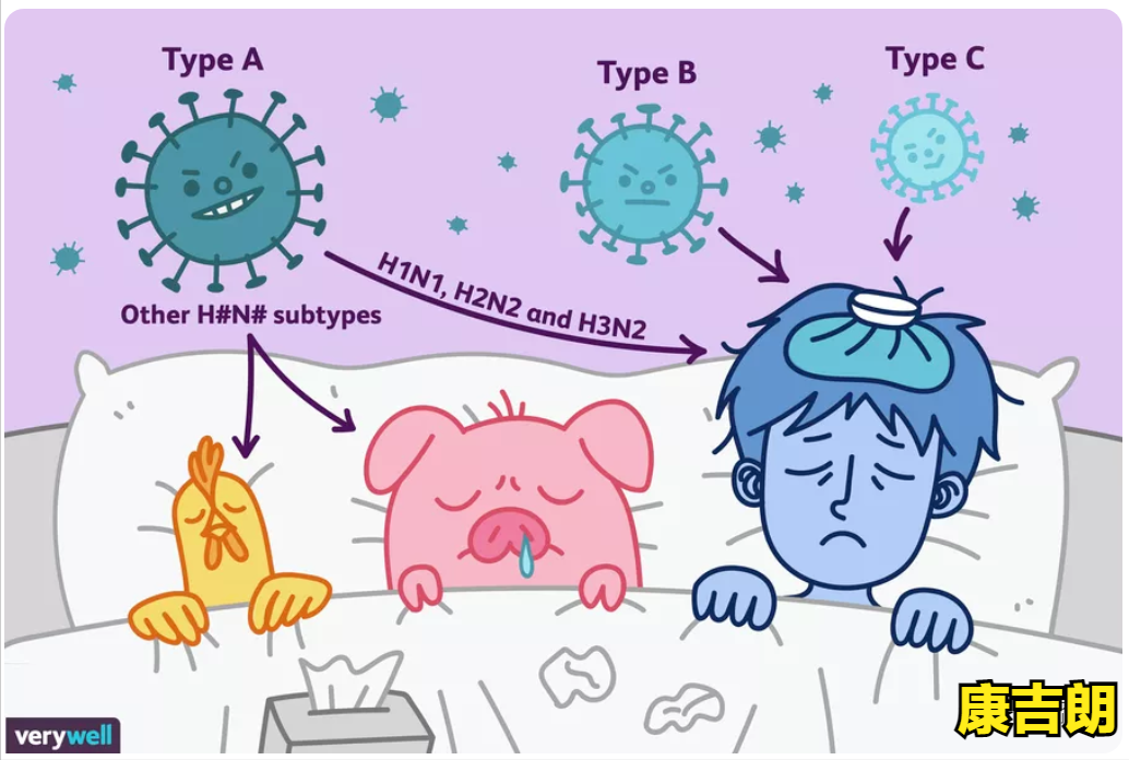 今天揭秘！康吉朗消毒噴霧劑對流感病毒有何作用？
