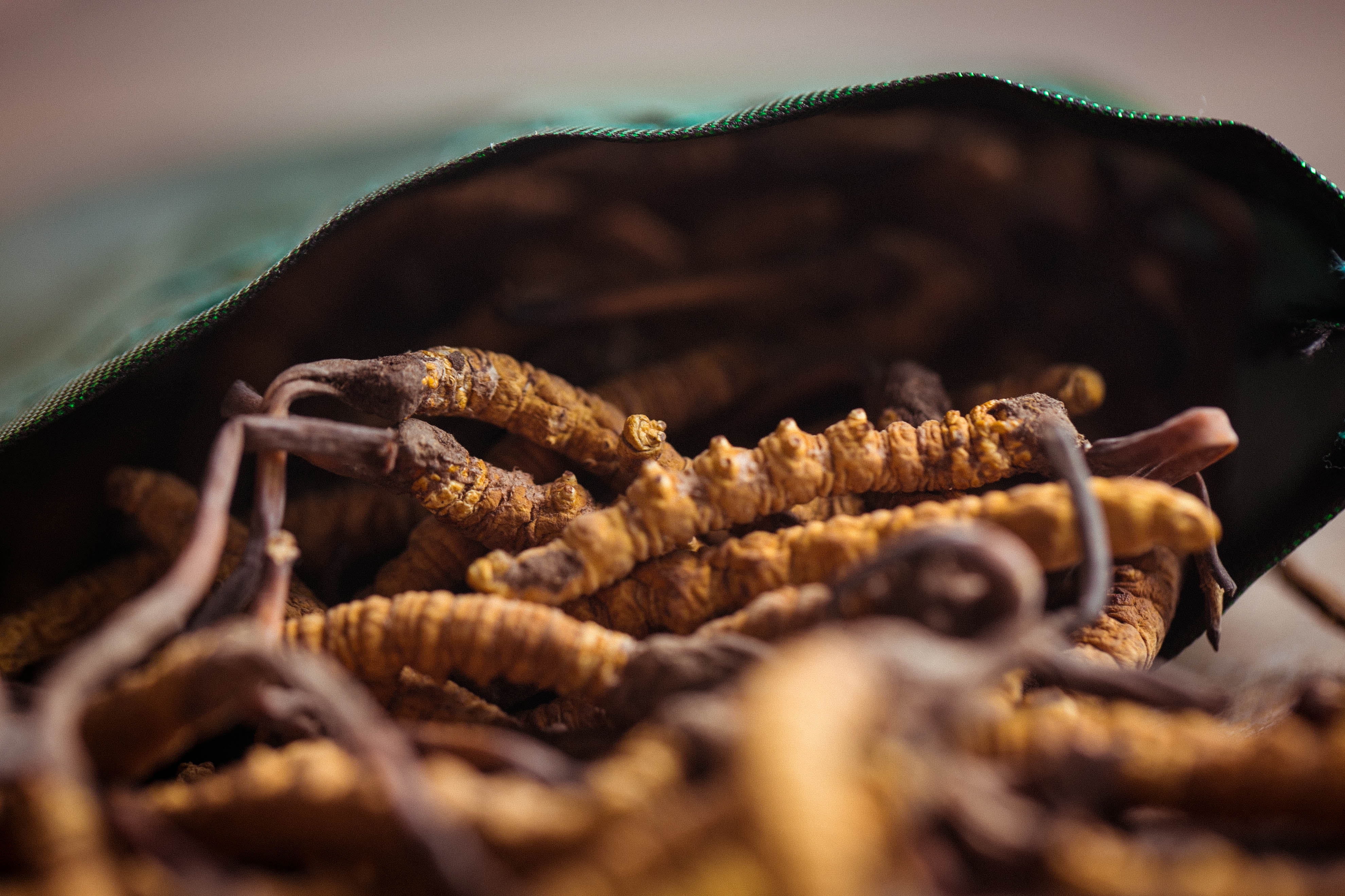Cordyceps has high value, how to eat it best?This article teaches you