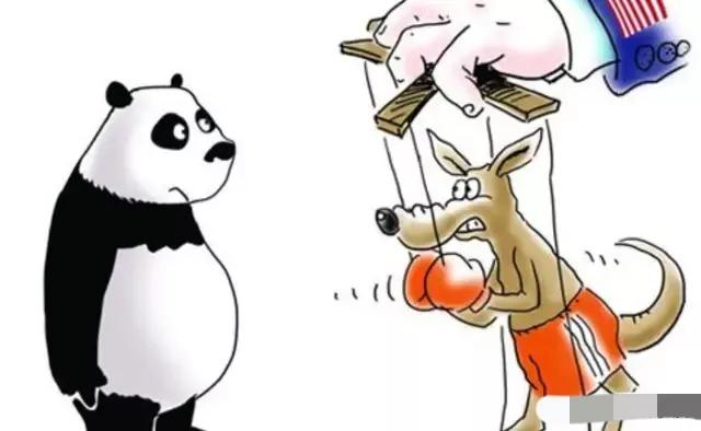 澳大利亚准航母进入南海，真准备挑衅我海洋新规，恶狗看样是该打