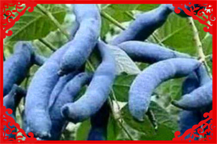 农村种植业，这几个项目前景好、收益高，值得