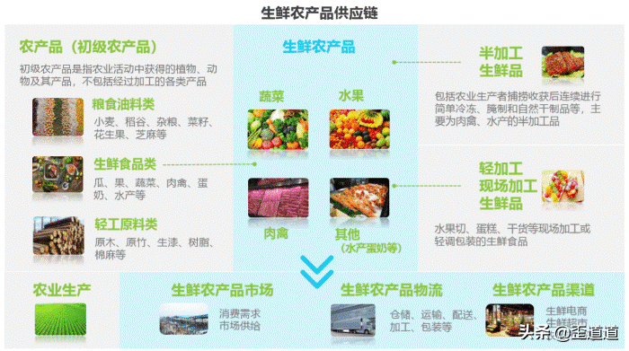 互联网倒逼产业链变革，物流将在垂直赛道全面开花？