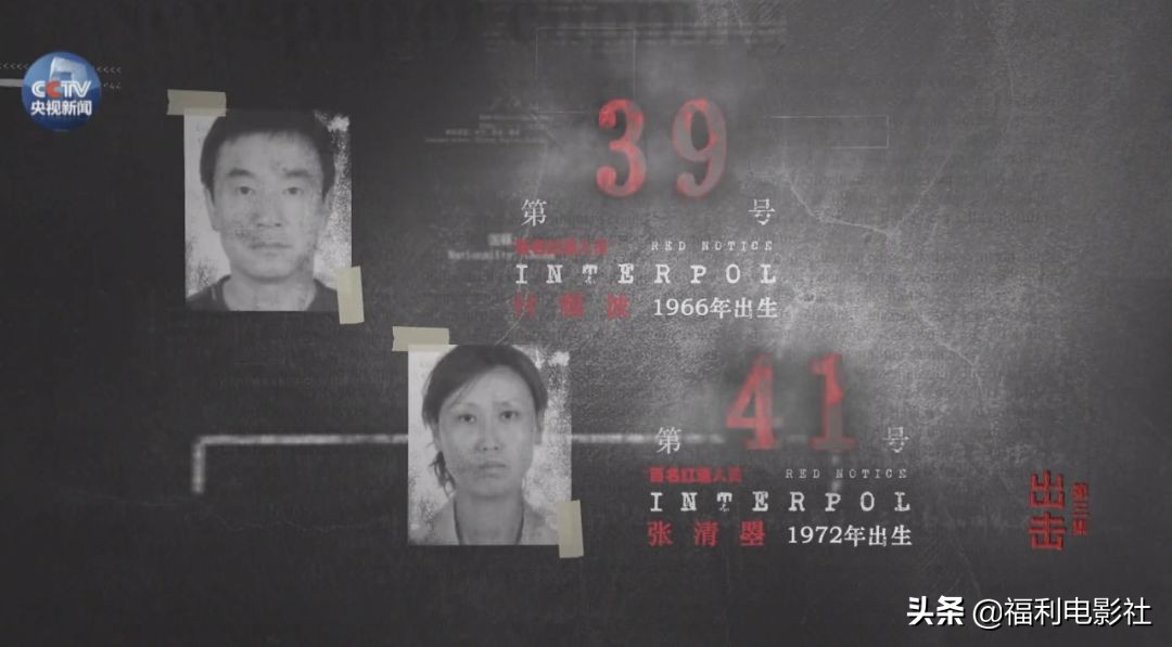 逃亡美国加拿大原来这么苦逼，这群红通逃犯贪污那么多钱有啥用呢