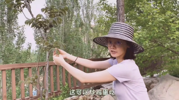 苗苗怀孕传闻坐实？视频孕味十足，不敢露下半身，郑恺晒照心情好