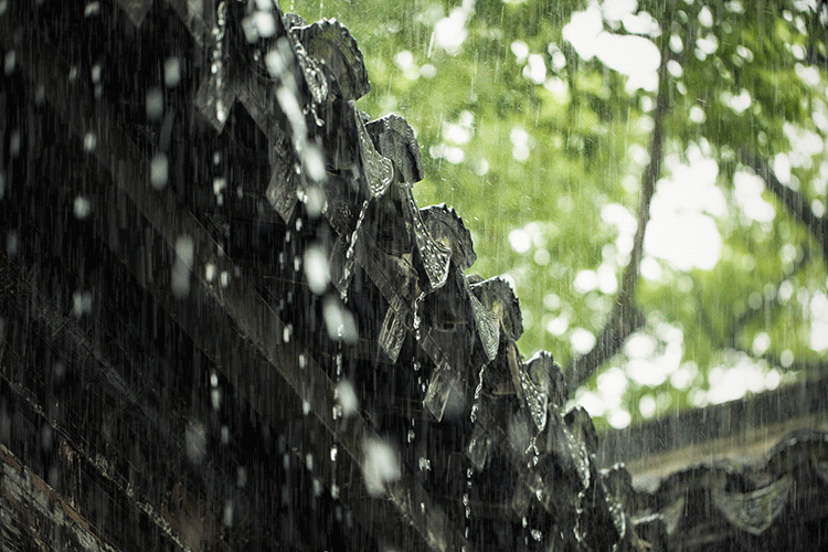 诗人深夜失眠听了一夜春雨，写下一首绝美宋诗，惊艳后世八百余年-第6张图片-非凡网