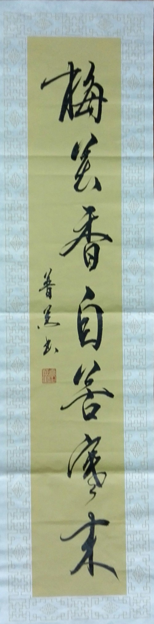 鷨
