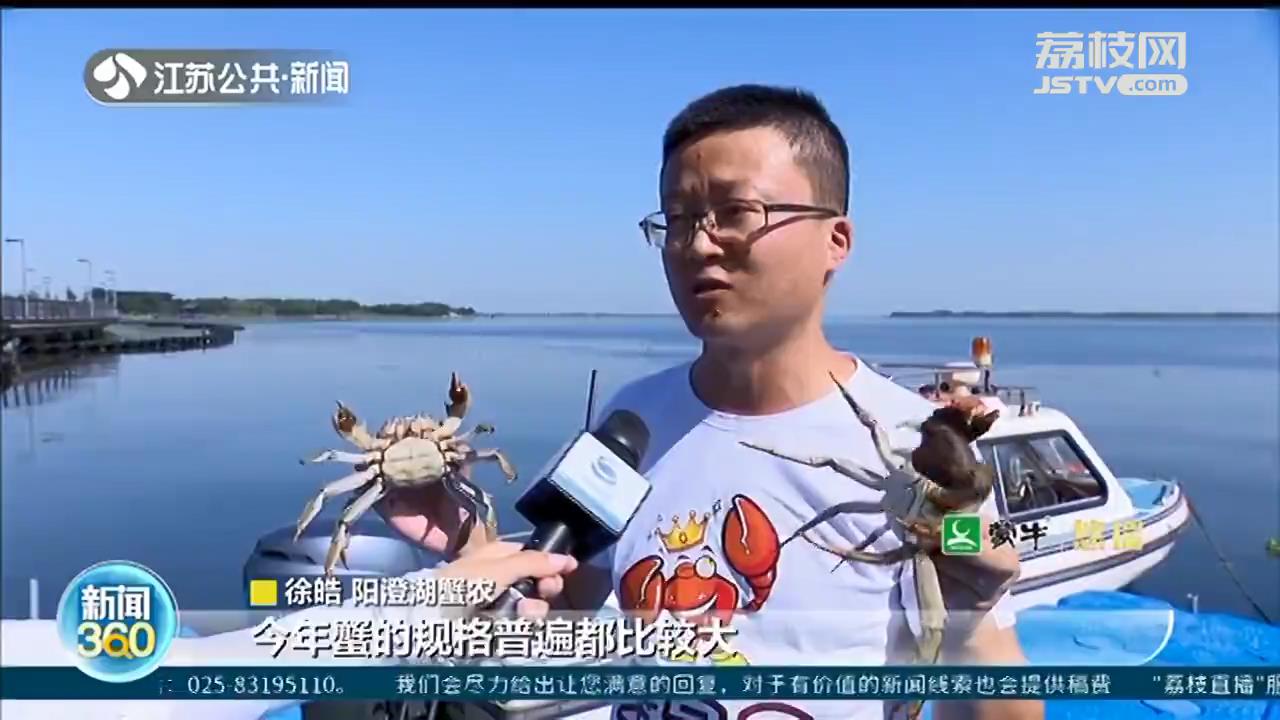 江苏今年大闸蟹普遍更肥 花样吃法刷爆社交媒体