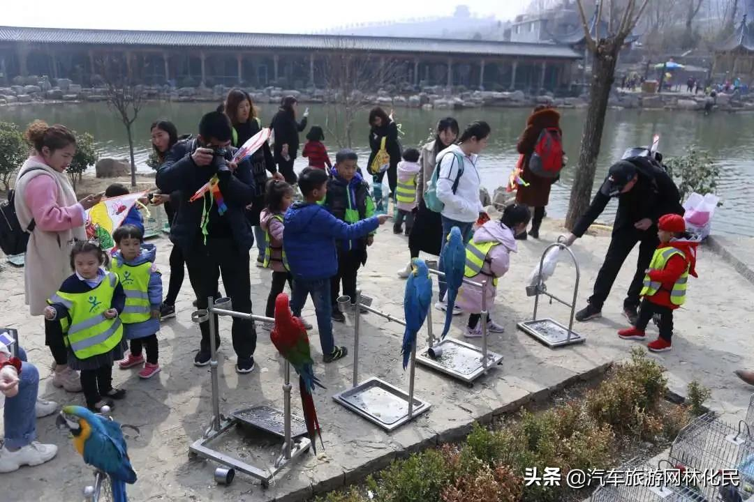 沂蒙马泉休闲园万亩樱桃花开,门票免费送啦