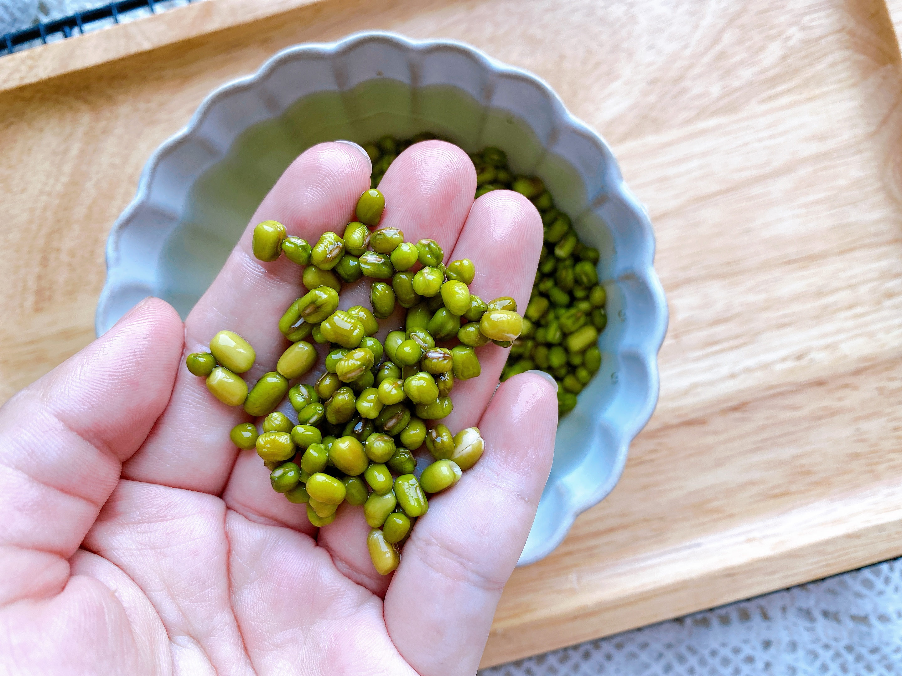 2节莲藕1把绿豆，炖出最适合秋天的汤，清热降火健脾补钙，超好喝