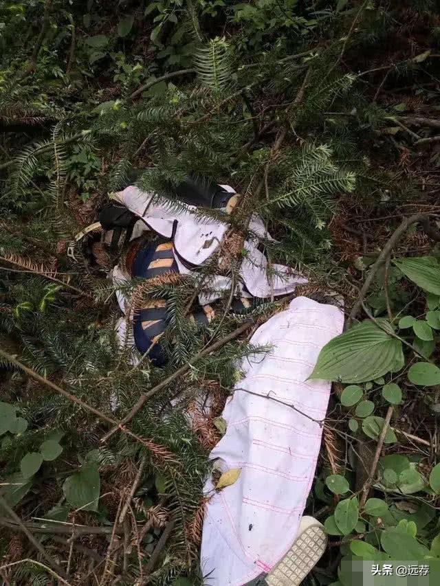 翼装飞行失联女大学生确定死亡，人躺在草丛里