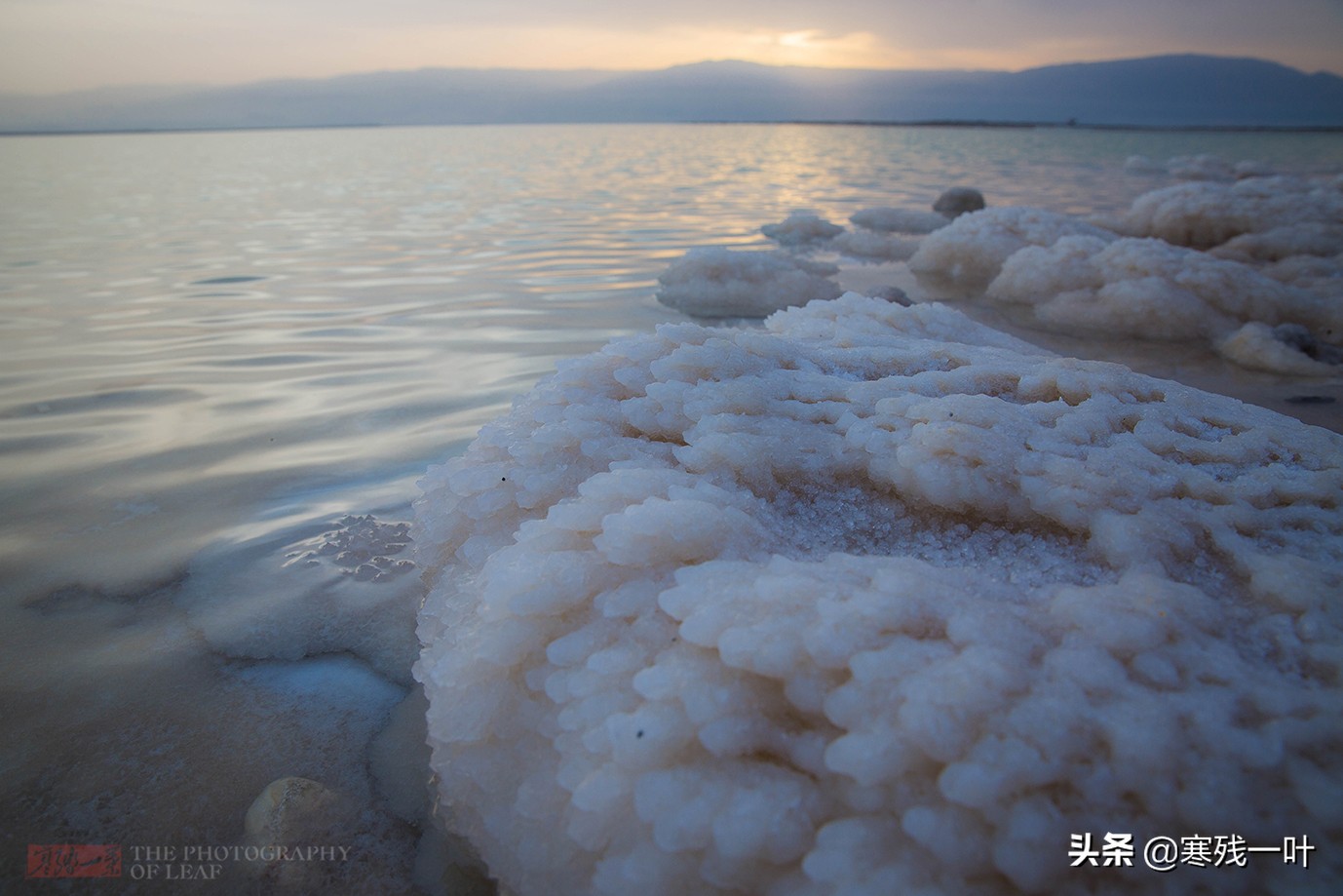 死海在哪里（关于死海的背后来源文章揭晓）