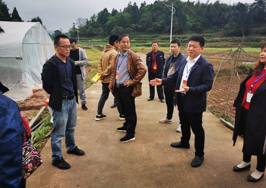 沅陵县陈家滩乡开展人大代表视察活动助力产业转型升级