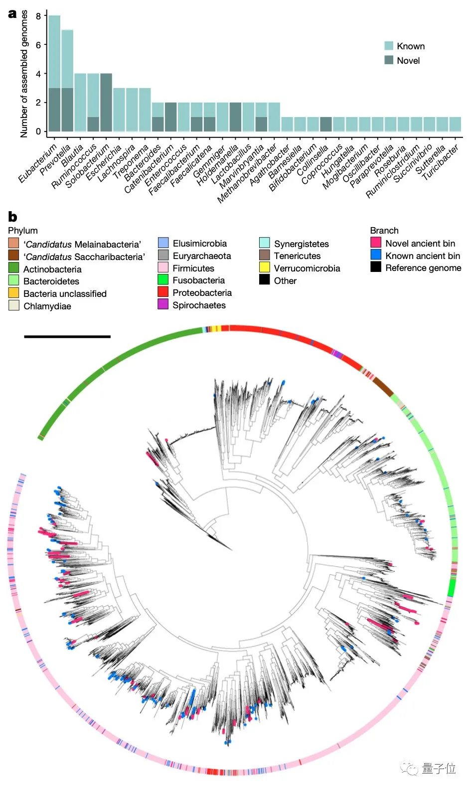 8坨穿越千年的便便，让哈佛科学家找到治疗糖尿病的线索 | Nature